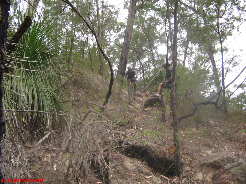 20061126-ONR-Spiders 260 